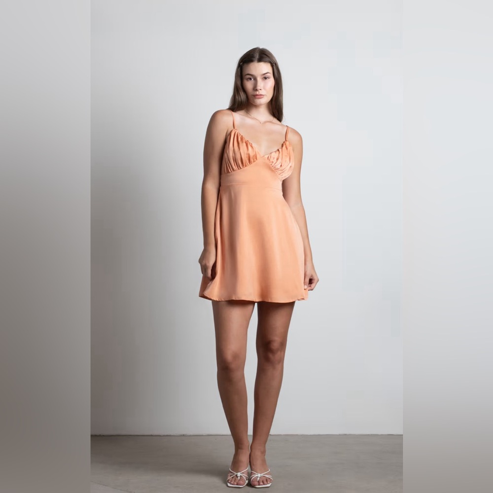 Pretty Little Things Boutique Satin Skater Dress